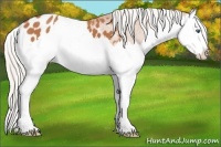 Horse Color:Silver Bay Splash Blanket 