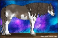 Horse Color:Liver Chestnut Splash 