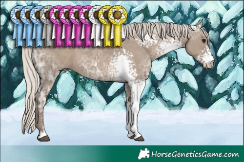 Horse Color:White Spotted Silver Grullo Ice 