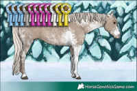 Horse Color:White Spotted Silver Grullo Ice 
