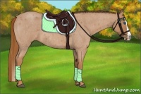 Horse Color:Red Roan Splash
