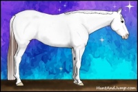 Horse Color:Brown Dun Sabino Blanket Rabicano