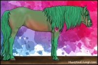 Horse Color:Watercolor Bay 
