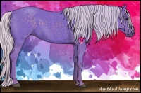 Horse Color:Watercolor Silver Blue Roan 