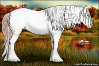 Horse Color:Smoky Blue Roan Pearl Appaloosa 