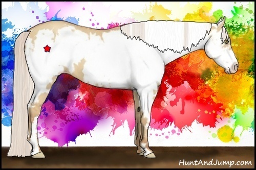 Horse Color:White Spotted Silver Classic Champagne Dun Splash Frame 