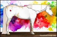 Horse Color:White Spotted Silver Classic Champagne Dun Splash Frame 