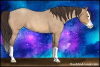 Horse Color:Amber Champagne Roan Splash 