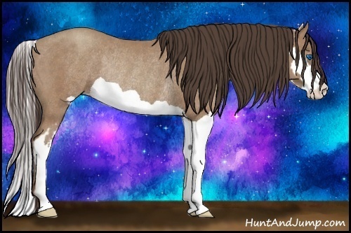 Horse Color:Classic Champagne Splash Frame Rabicano 