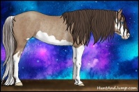 Horse Color:Classic Champagne Splash Frame Rabicano 