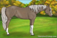 Horse Color:Silver Smoky Black 