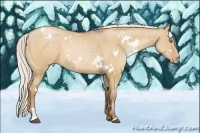 Horse Color:White Spotted Silver Bay Pearl Dun Sabino 