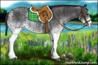 Horse Color:White Spotted Blue Roan Rabicano  Brindle