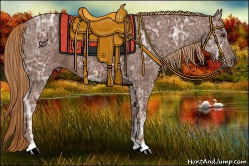 Horse Color:Chestnut Ice