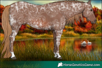 Horse Color:Chestnut Ice 