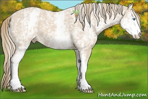 Horse Color:White Spotted Perlino 