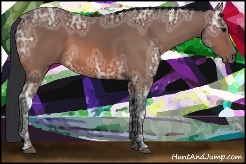 Horse Color:Bay Ice 