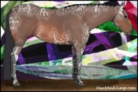 Horse Color:Bay Ice 