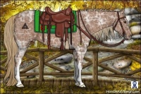 Horse Color:Chestnut Ice 
