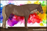 Horse Color:Liver Chestnut Rabicano 