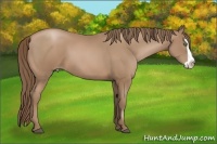 Horse Color:Black Pearl Splash Frame
