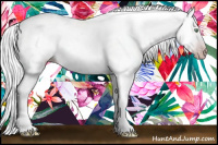 Horse Color:Gray Silver Amber Cream Champagne Roan Dun Splash Tobiano Frame Appaloosa Rabicano 