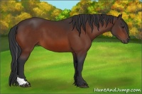 Horse Color:Bay Tobiano 