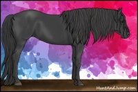 Horse Color:Smoky Black 