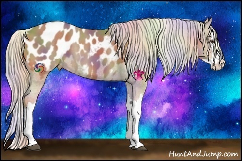 Horse Color:Nacre Palomino Splash Appaloosa 