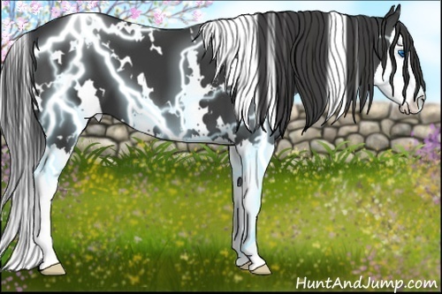 Horse Color:White Spotted Smoky Black Splash 