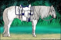 Horse Color:White Spotted Silver Grullo Varnish