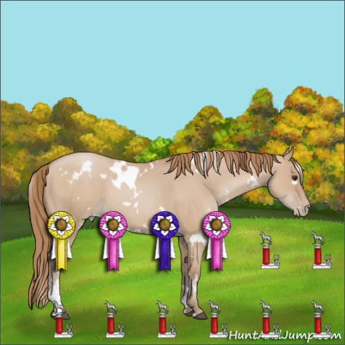 Horse Color:White Spotted Grullo Pearl Sabino