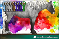 Horse Color:Liver Red Roan Mushroom Sabino 