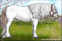 Horse Color:Bay Splash Frame Blanket