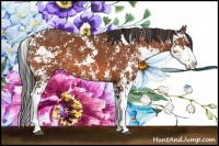 Horse Color:Bay Sabino 