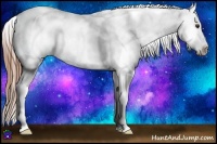 Horse Color:Chestnut Blanket 