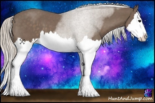 Horse Color:Silver Blue Roan Splash