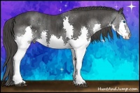 Horse Color:Black Splash Brindle