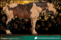 Horse Color:Bay Ice Brindle