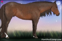 Horse Color:Liver Chestnut Sabino Tobiano 
