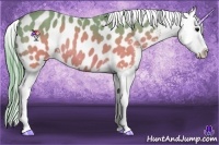 Horse Color:Watercolor Brown Splash Appaloosa Rabicano 
