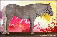 Horse Color:Silver Black Frame