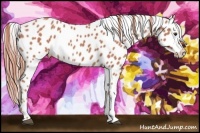 Horse Color:Watercolor Chestnut Leopard 