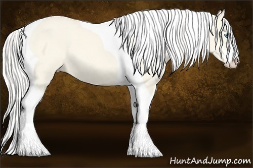 Horse Color:Cremello Dun Sabino Tobiano