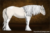 Horse Color:Perlino Roan Splash Tobiano