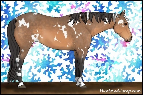Horse Color:White Spotted Buckskin