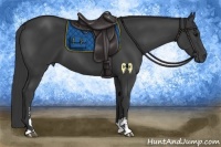 Horse Color:Smoky Black Sabino