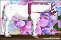 Horse Color:White Spotted Palomino Splash Varnish
