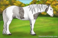 Horse Color:Silver Black Ice Splash Tobiano