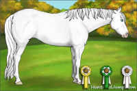 Horse Color:Gray White Spotted Perlino Splash 